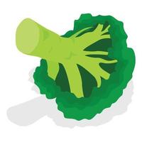 Eco broccoli icon set, isometric style vector