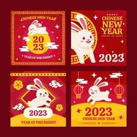 The Water Rabbit Year Social Media Template vector