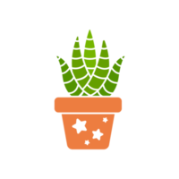 cactus in ingemaakt fabriek. cactus een verscheidenheid van sappig planten dat zijn populair naar toenemen png
