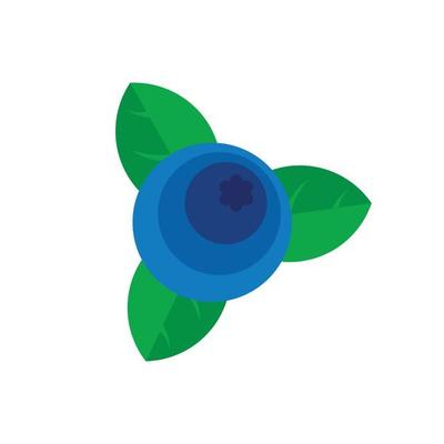 Blueberry icon, flat style