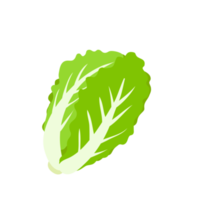 lechuga. vegetales de hojas verdes para una ensalada saludable. png
