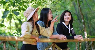 handheld schot, voorkant visie, groep van jong Aziatisch Dames staand Aan bamboe brug zijn aan het kijken mooi natuur terwijl camping in Woud met geluk samen video