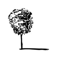 Hand drawn beech tree sketch. Vector beech tree miniature isolated