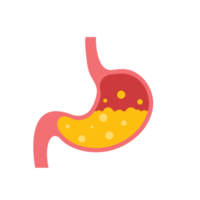 ícone do estômago. o estômago contém suco gástrico para ajudar na digestão e ascender ao intestino. png