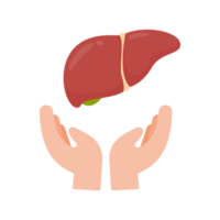 Hand, die innere Organe unterstützt das Konzept der Organspende zur Behandlung von Patienten png