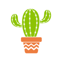 cactus en maceta. cactus una variedad de plantas suculentas que son populares para crecer png