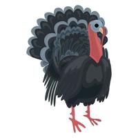 icono de gallo de pavo, estilo de dibujos animados vector