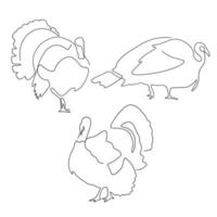 set of animal farm turkey line art , hand drawn for logo design. vector