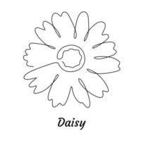 Elegant daisy flower in one line art style. Continuous line art in minimalistic for logo and printable design. vector illustration.