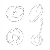 set of fruit line art and continuous line concept. apple, mango, mangosteen, cherry vector