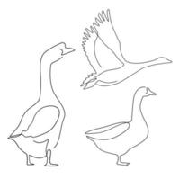 set of animal farm goose line art , hand drawn for logo design. vector