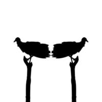Silhouette of the Black Vulture Bird, Based on my Photography as Image Reference, Location in Nickerie, Suriname, South America. Vector Illustration