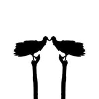 Silhouette of the Black Vulture Bird, Based on my Photography as Image Reference, Location in Nickerie, Suriname, South America. Vector Illustration