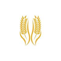 Wheat logo vector icon illustration