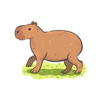 Cute capybara isolated on white background. Vector graphics.