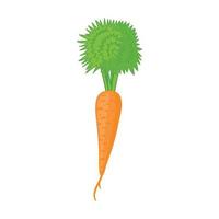 Carrot icon in cartoon style vector