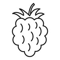 Raspberry food icon, outline style vector