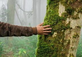 concepto de conexión de personas y naturaleza foto