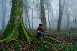 The man explore nature tree in forest photo