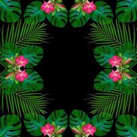 patrón de hojas de monstera verde para el concepto de naturaleza, fondo de textura de hoja tropical foto