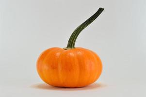 close up of orange pumpkin photo