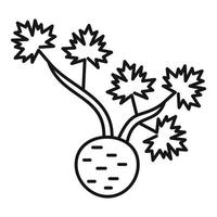 icono de apio de raíz fresca, estilo de esquema vector