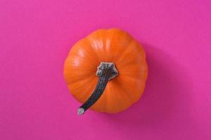 calabaza sobre fondo rosa foto