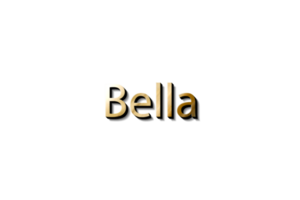 bella maquette 3d png