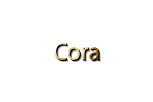 cora 3d mockup png