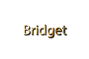 BRIDGET 3D MOCKUP png