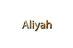 ALIYAH 3D MOCKUP png