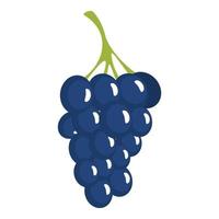 Dark grape icon, cartoon style vector