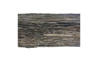 Isolated teak tree bark texture fine quality wood photo