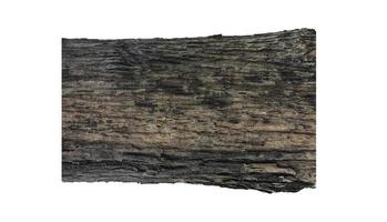 Isolated teak tree bark texture fine quality wood photo