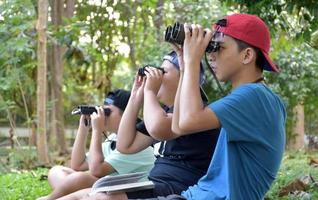 Three Southeast Asian boys are using binoculars to observe birds in tropical forest, idea for learning creatures and wildlife animals outside the classroom. photo