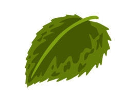 Natur - grünes Blatt png