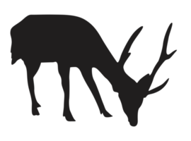 Animal - Deer Silhouette png