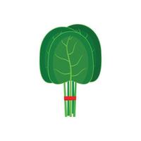 Group of spinach leaves icon, flat style vector