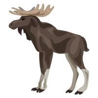 icono de ciervo canadiense, estilo de dibujos animados vector