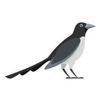 Looking magpie icon, flat style vector
