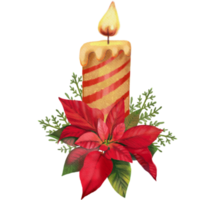 Christmas candle with a red flower poinsettia, thuja sprigs png