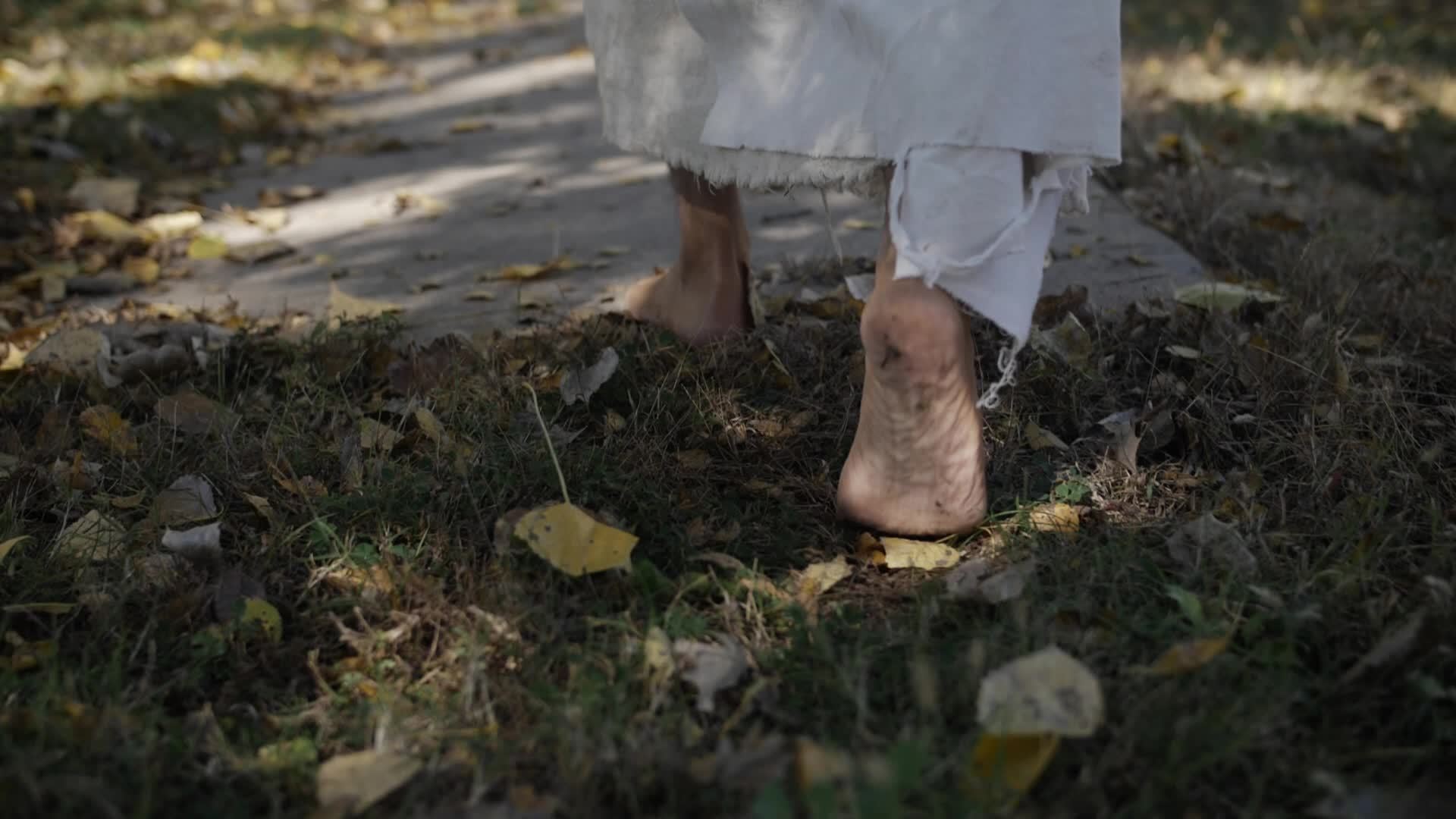 Jesus Christ, Divine, Holy, God, Christianity, Walking In Slow Motion