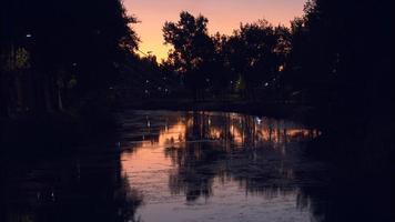 la belle vue sur le coucher de soleil d'un canal rempli de mousse qui coule sous le pont dans la paisible ville de leiria, portugal - plan large video