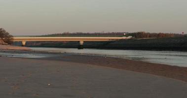 bandada de gaviotas alimentándose en la playa de vieira en portugal al atardecer con el puente de hormigón que cruza el río lis - tiro ancho video