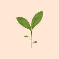 green plant isolated on pastel background vector