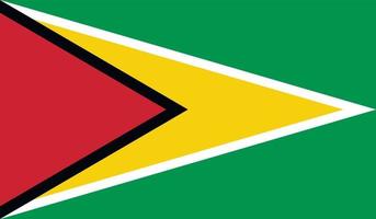 Guyana flag image vector