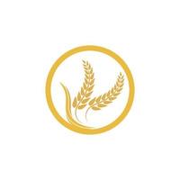 Wheat logo vector icon illustration