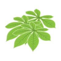 logotipo de hoja diseño de planta verde hojas de árboles ilustración de plantilla de marca de producto vector