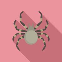 Tarantum spider icon, flat style vector