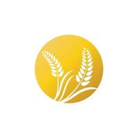 Wheat logo vector icon illustration